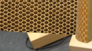 Bionik - Von der Bienenwabe zur Bodenstabilität im Flugzeug